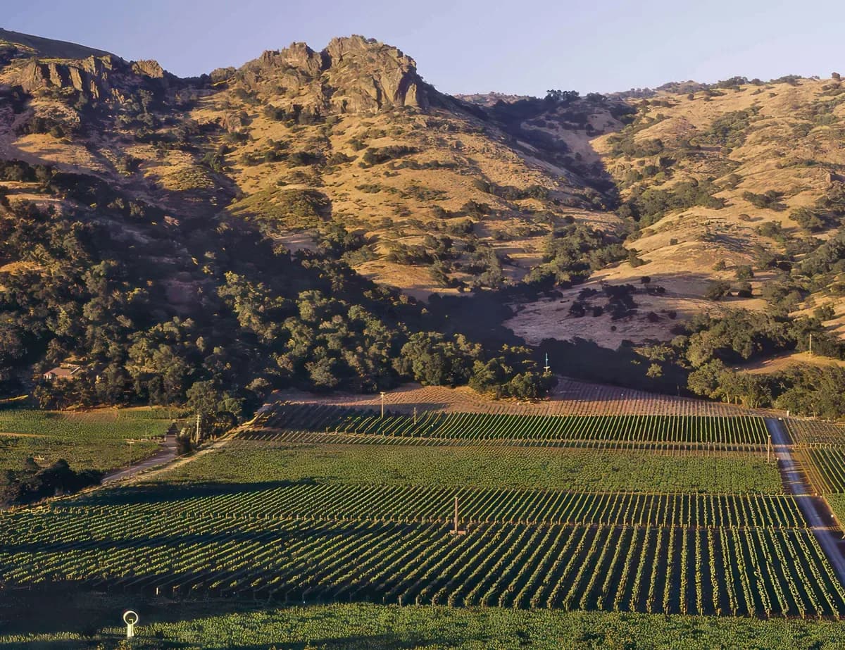 Stag’s Leap Wine Cellar