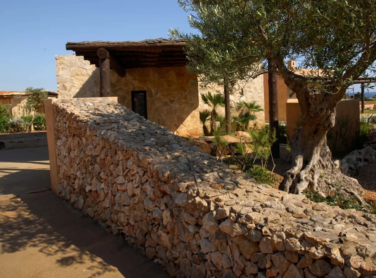 36 bioclimatic houses Predio Sa fua