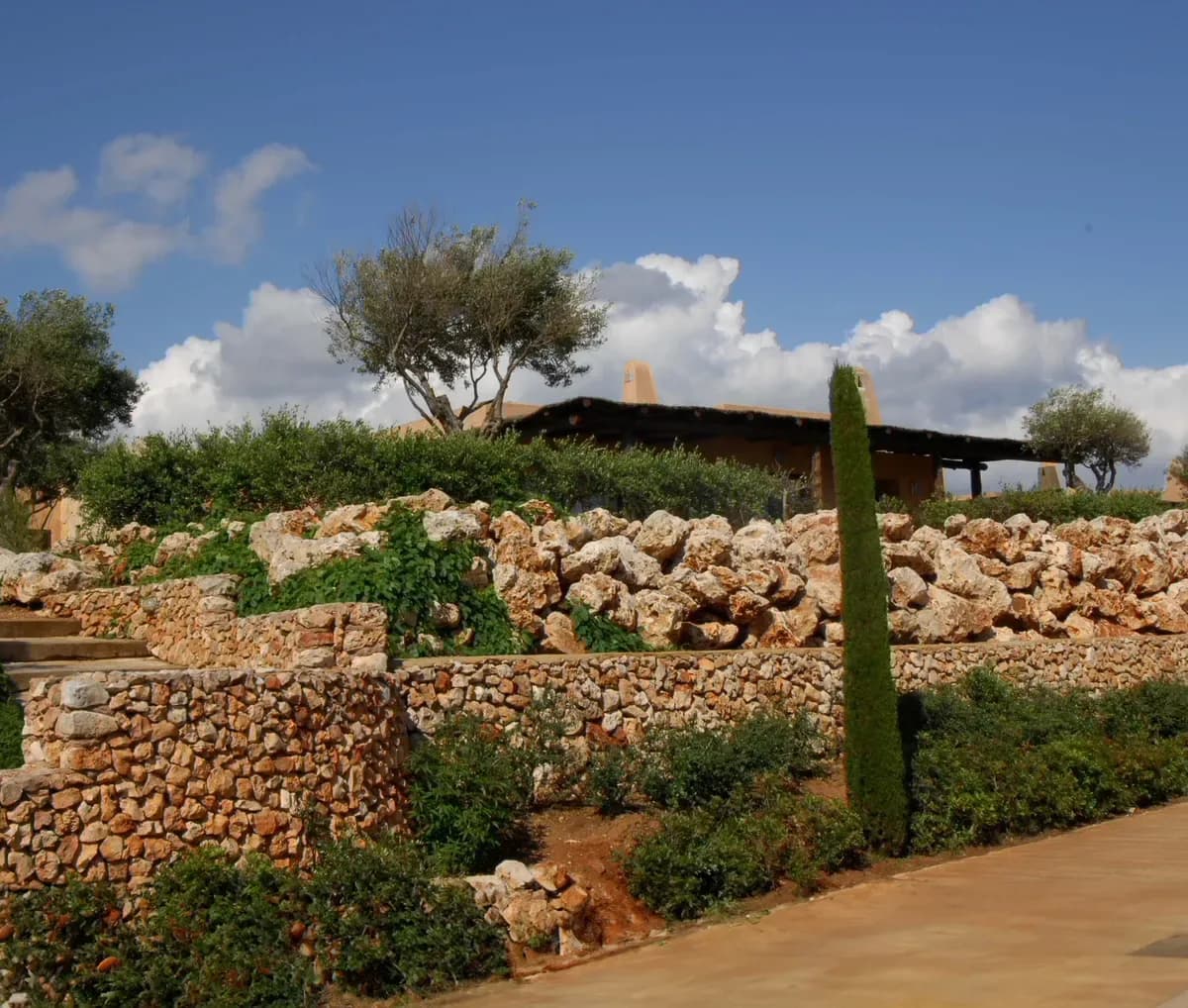 36 bioclimatic houses Predio Sa fua