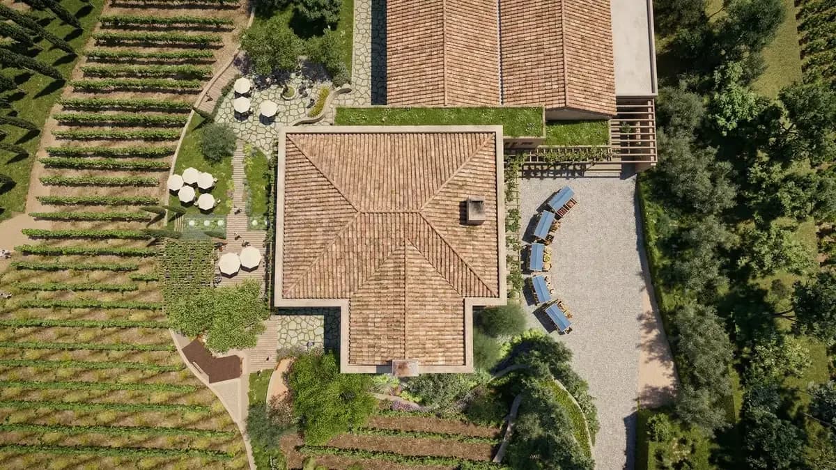 New Wine Center - Bodegas Torres