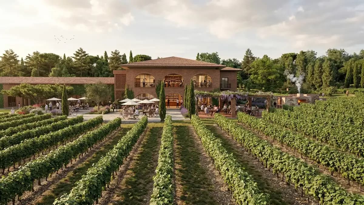 New Wine Center - Bodegas Torres